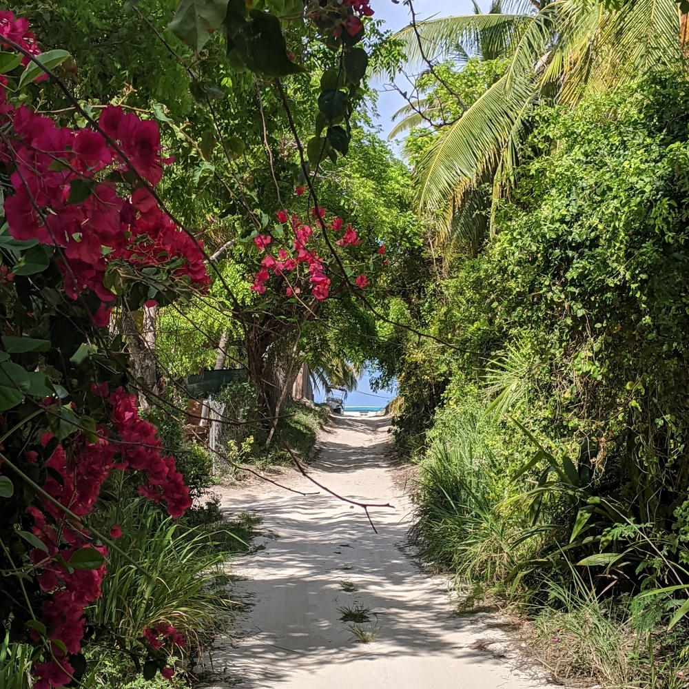 Meet your Posher, Jess